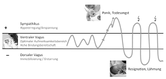 Grafik: Bindungsabriss und Verlust der optimierten Toleranzfenster