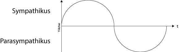 Abb. 4: Oszillation zwischen Sympathikus und Parasympathikus