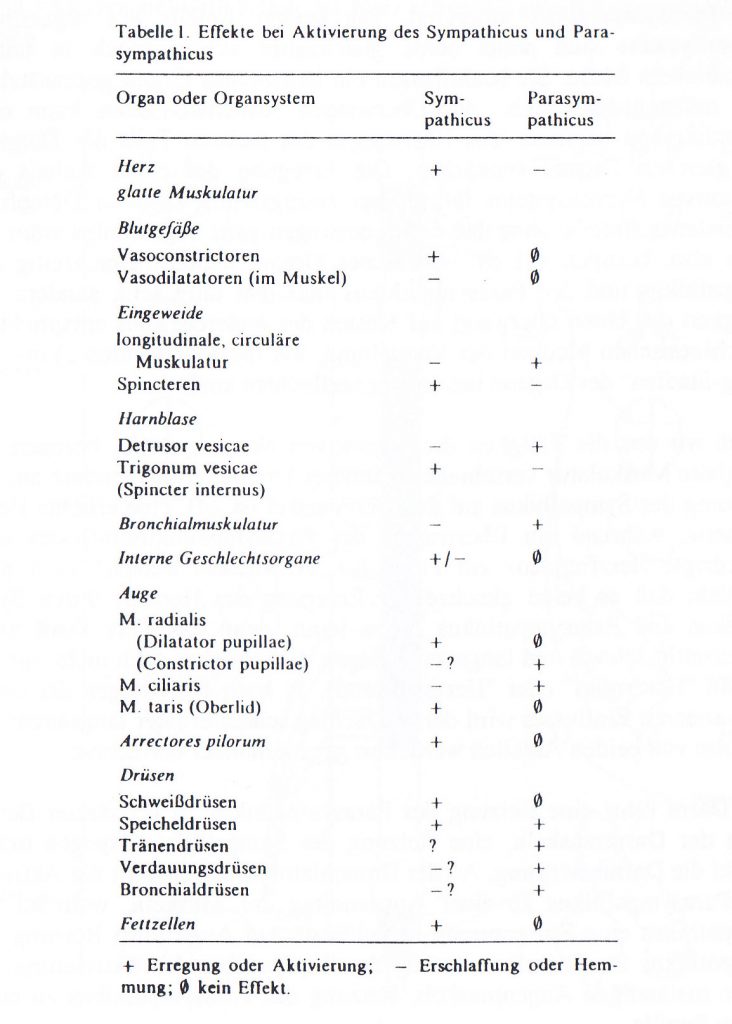 Tab. 1:Effekte bei der Aktivierung des Sympathikus und Parasympathikus <sup>[2]</sup>